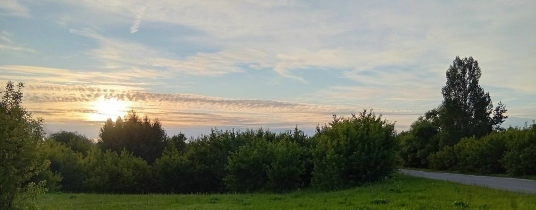 Заметки современников