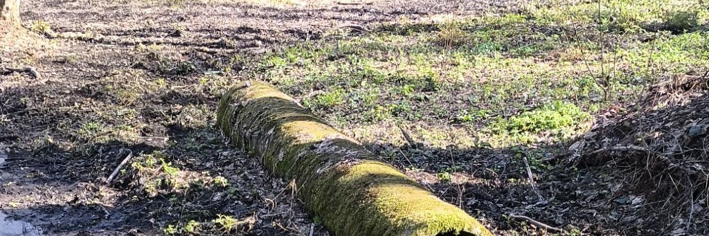 Весело и Грязно