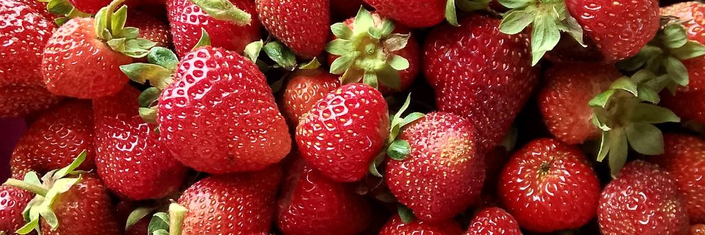 Жизнь Ирины