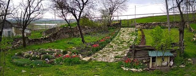 Ириска-вернулась домой!