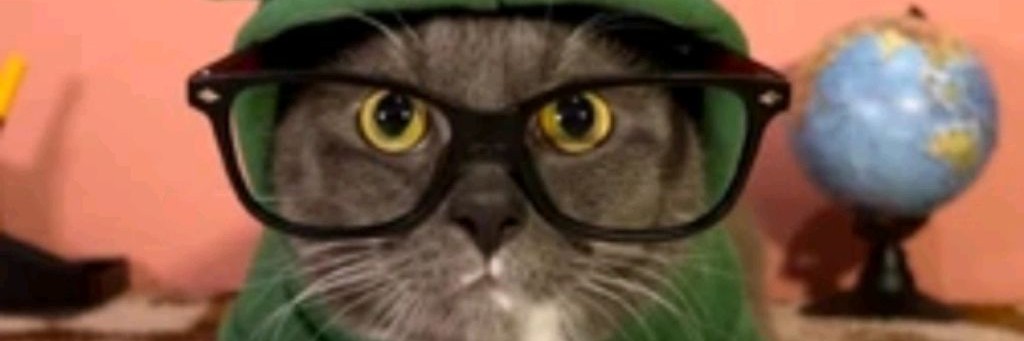 Пелезалив Компотика