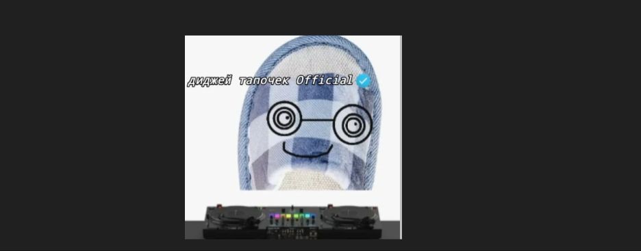 диджей тапочек