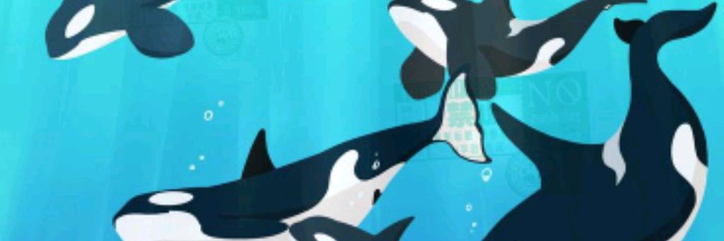 🫍Avatar-Family🫍