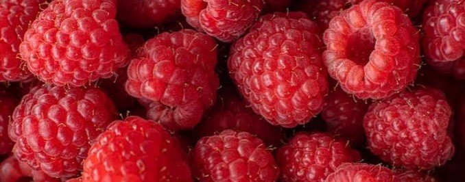 ПЫЛАК | Саженцы и Малина