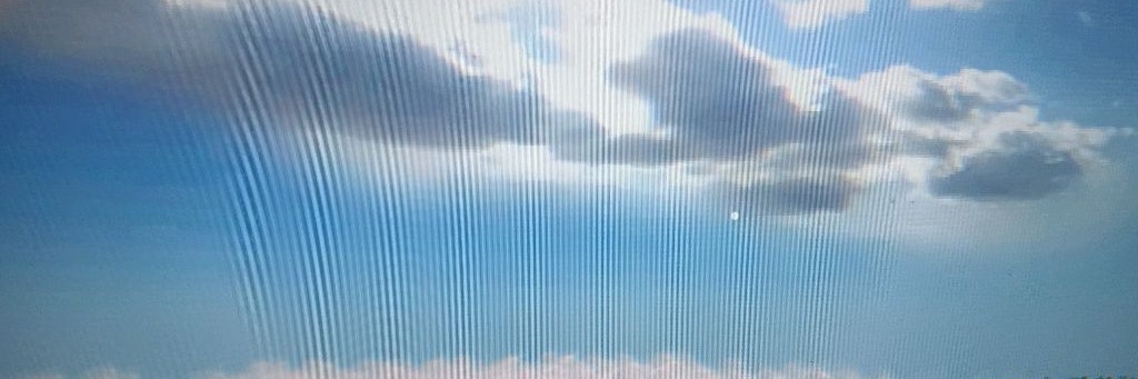 ☆Ваша Тётя Грейси☆(🐱🟣=🤮) I ❤ Мизулина