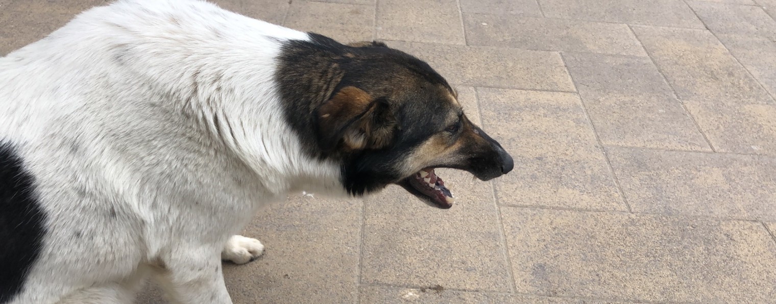 Фантастика