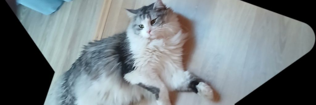 Куки