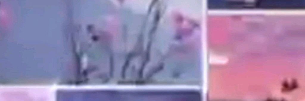 🩷❤️Милена🩷❤️