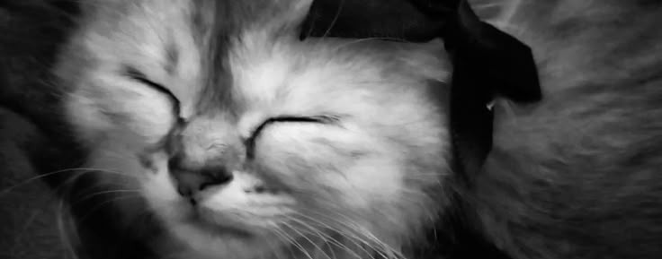 просто канал🎀