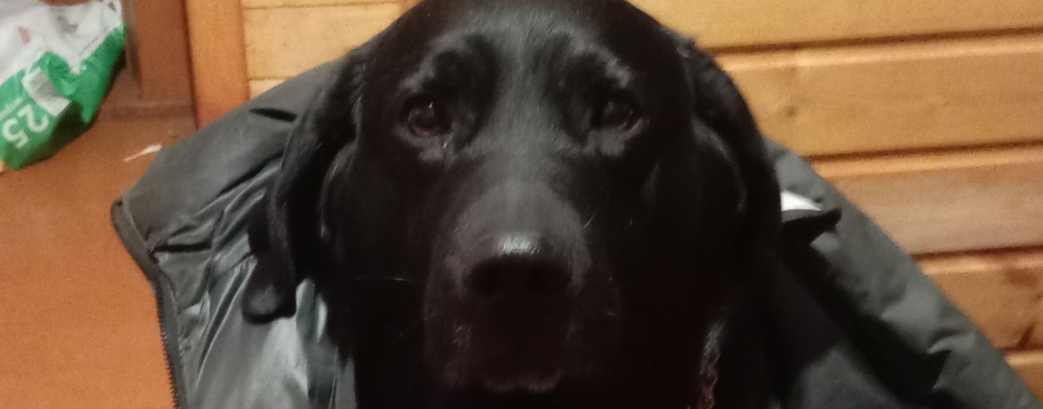 Strannik53rus🇷🇺