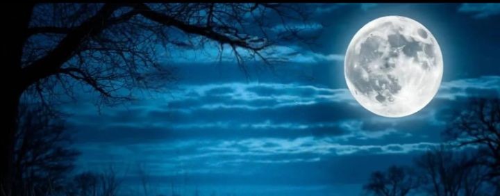 𝕭𝖔𝖌|СМЕРТИ|