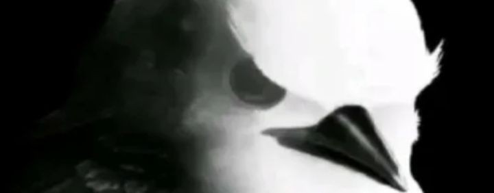 Ночной Приз₽@к