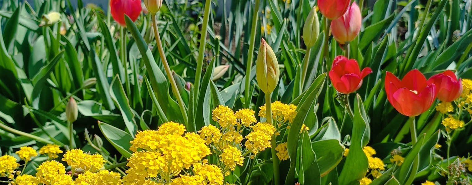 Наталья Батырева