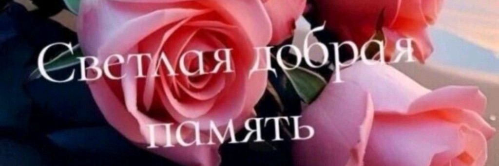 Блогер Александр Сергеевич 🫶