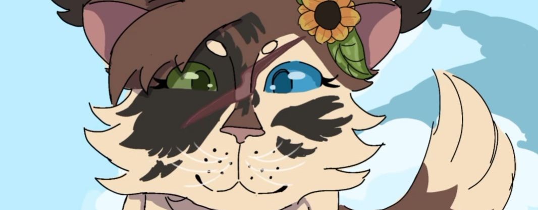 Яролапка~☆КВ♡