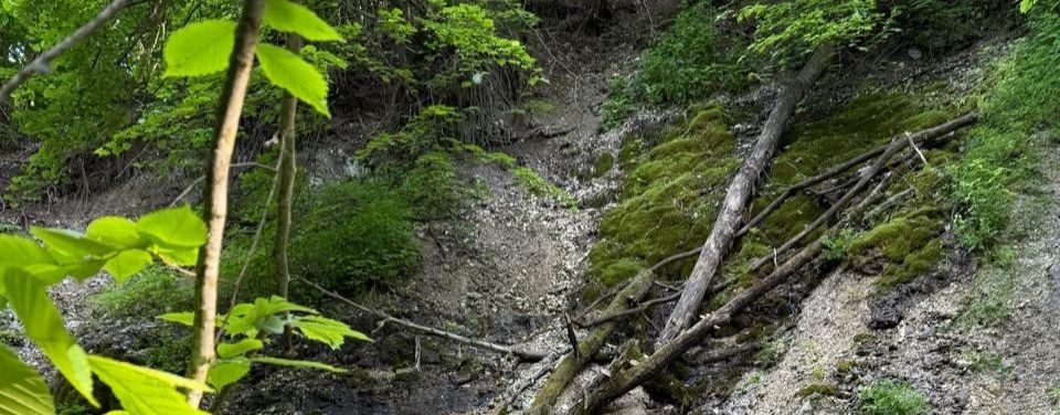 Эндуро Ритмы.Приключение на двух колесах