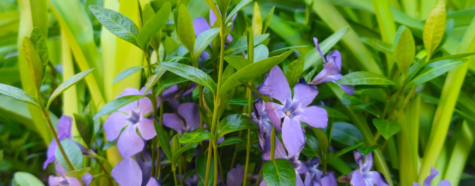 HDR☑▸DISPLAY♉♂️