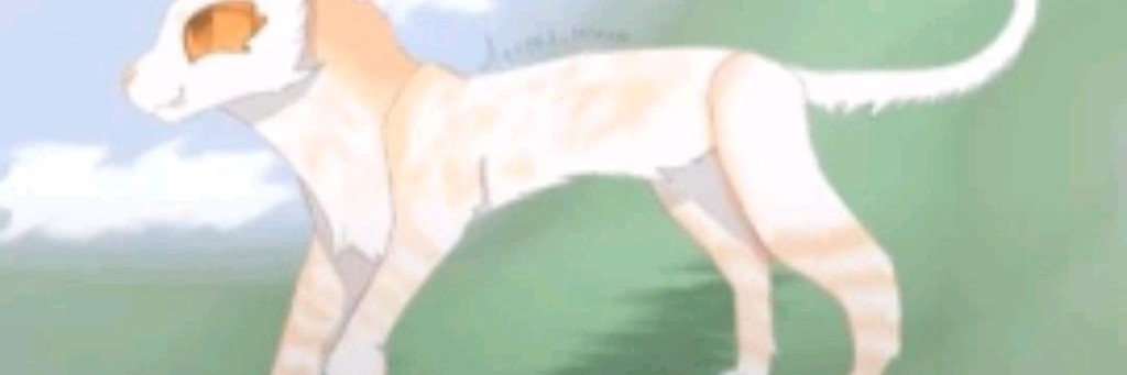 🌺 𝚖𝚊𝚕𝚒𝚗𝚊