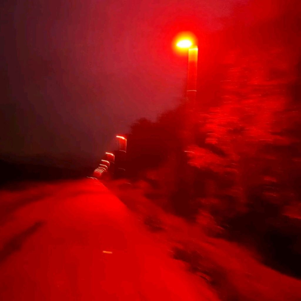 ꧁☬⋆ТᎻᎬ༒ᏦᎥᏁᏳ⋆☬꧂