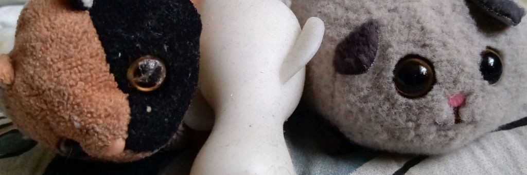 котик