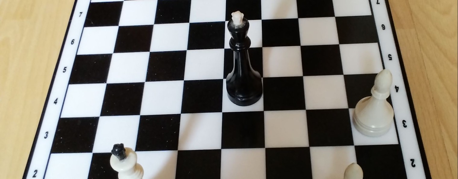 Шахматы для начинающих любителей