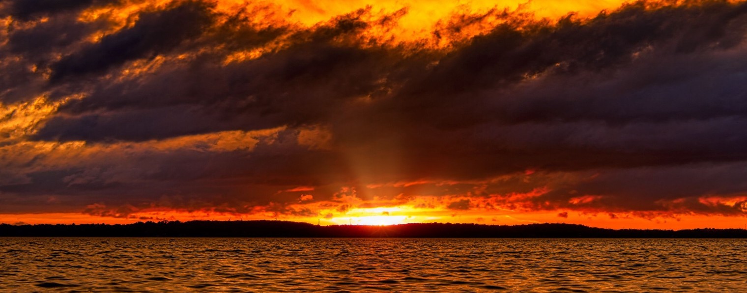 Все об всем