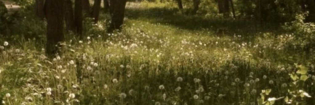 🐸καρτошκα Φρυ_🍟☑