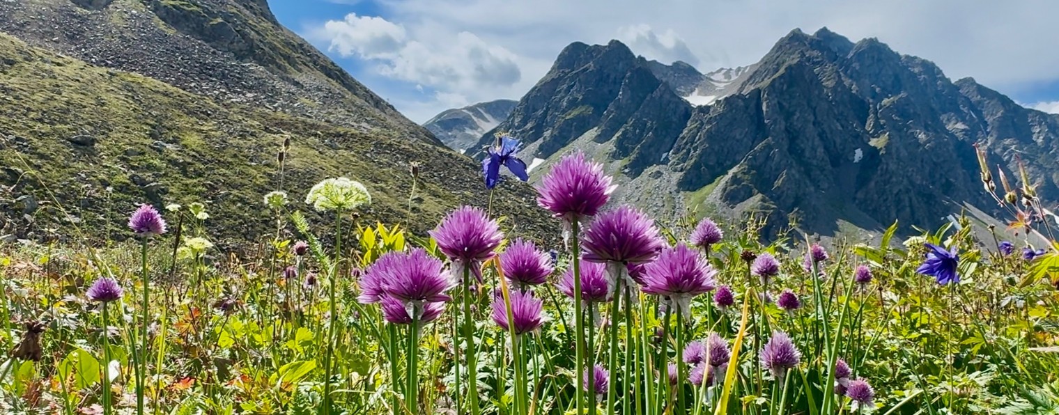 Елена Маруняк