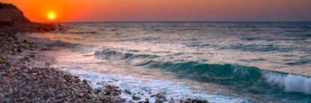 🌊✩𝙷𝚘𝚕𝚒 𝙵𝚊𝚖𝚒𝚕𝚢 𝚅𝚕𝚘𝚐✩🌵