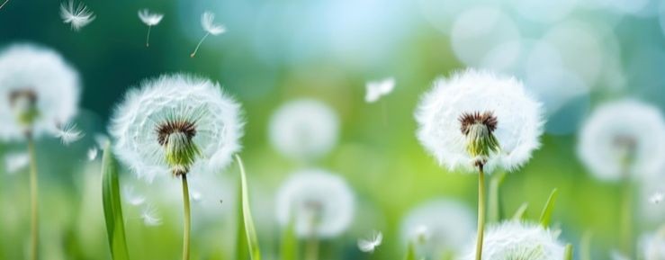 ☀️🍃Синеглазка  𝑨𝒗𝒂𝒕𝒂𝒓 𝑾𝒐𝒓𝒍𝒅💕🎶