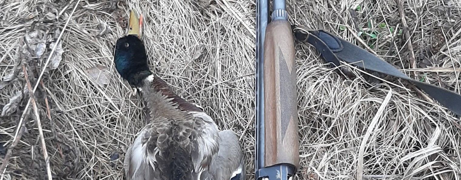 Рыбалка, охота и спорт в Сибири