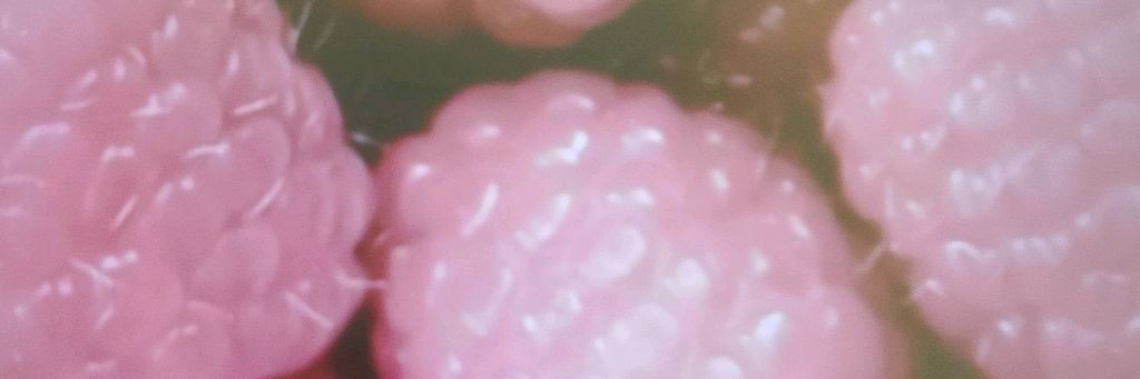 Kpop girl music_2026🥡🎤🎙️🥡🍣