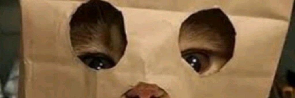 катейка райф