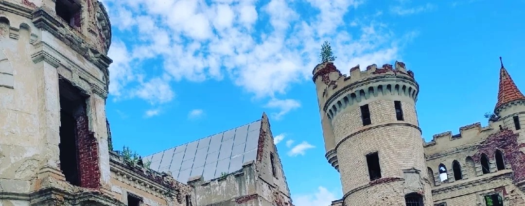 Лёша и Лида. Семейное хобби.