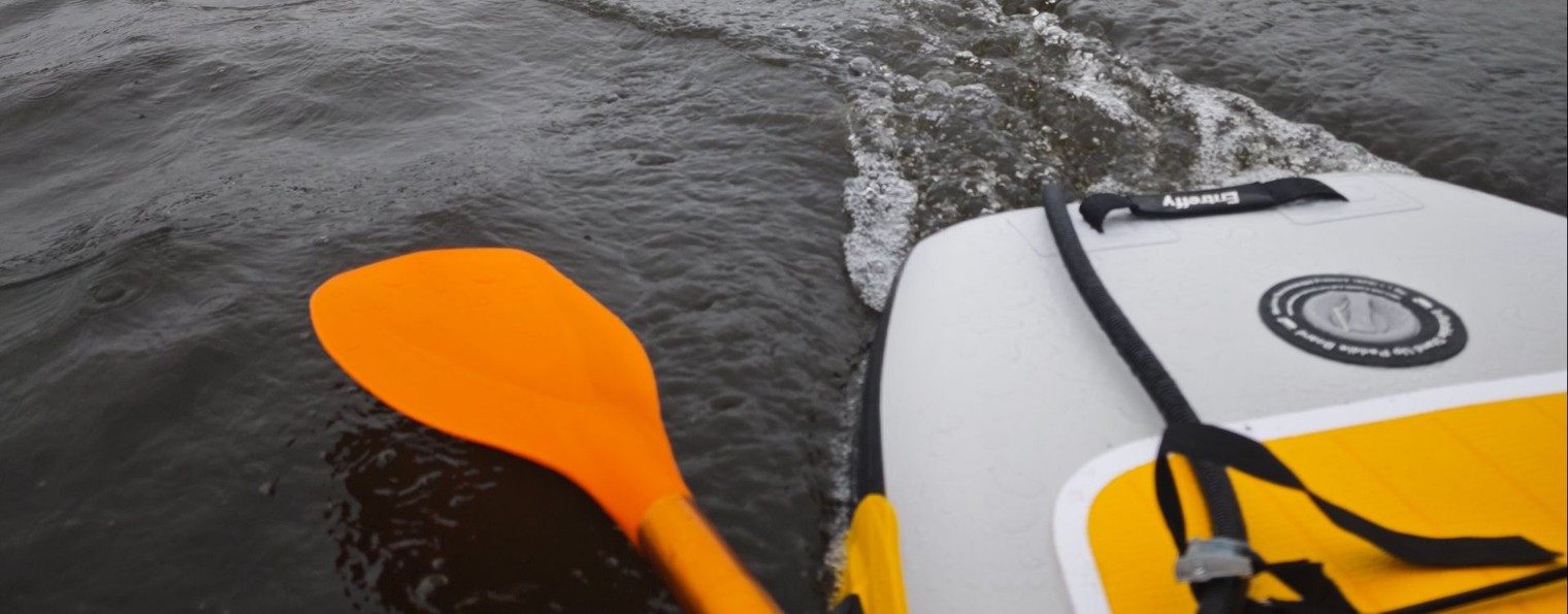 Neva E_Sup Электромоторы для сап