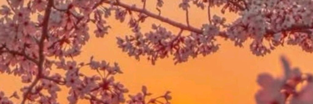 ☆~Фан всех блогеров~☆