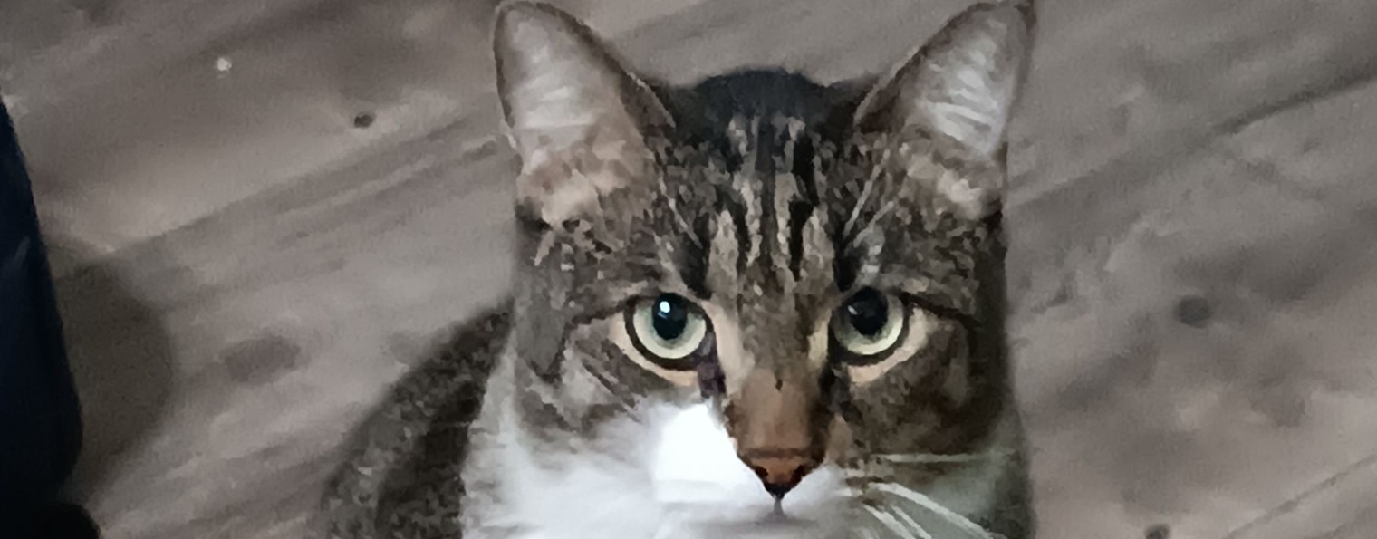 Антон М.  (AHTOXA.RussiaN)