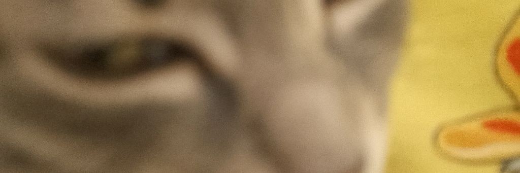 ๛🫪зᴀй ϶ᴛо ᴄᴇᴩи зʙᴇздочᴋᴀ🫪๛ᴩᴇᴄᴛ до ᴧᴇᴛᴀ