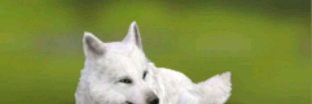 ~💜💫Пикми💜💫~WildCraft