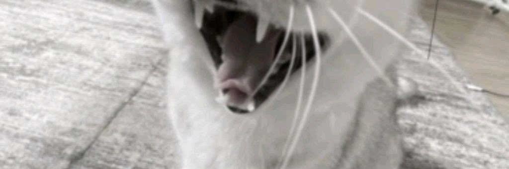 ✌🖤я девочка мне можно🖤✌