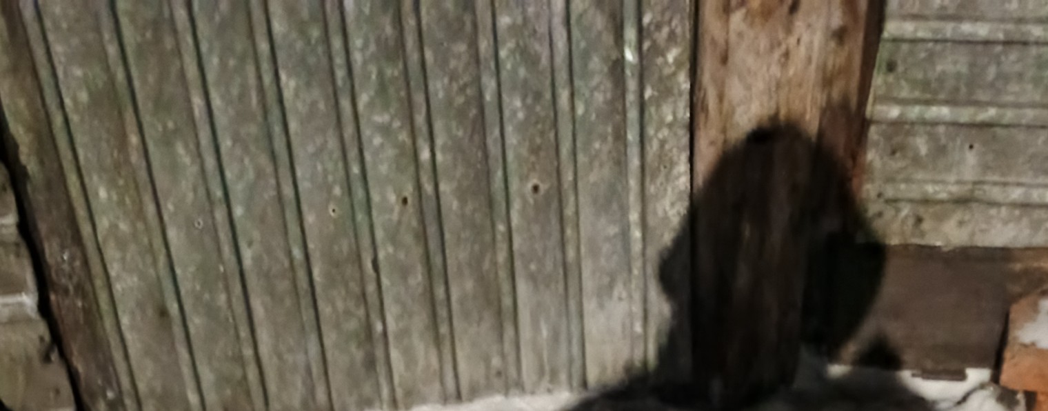 Донк Колблсенка Гон