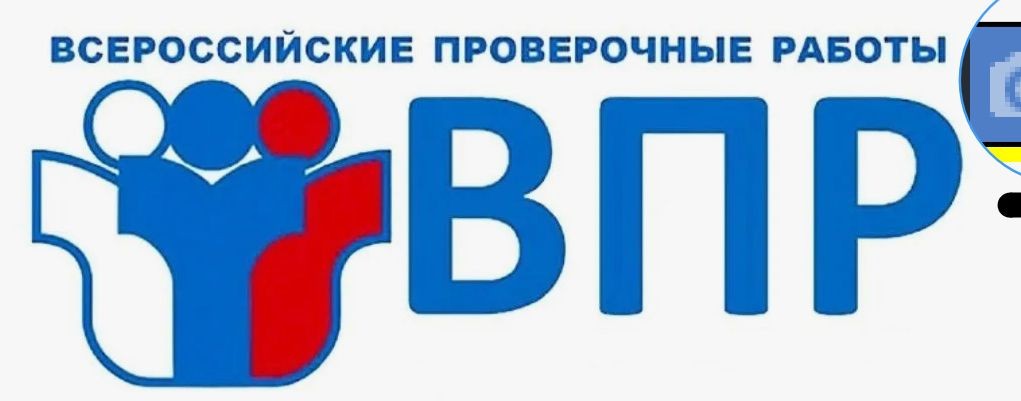 ✨Волчица Зимми✨