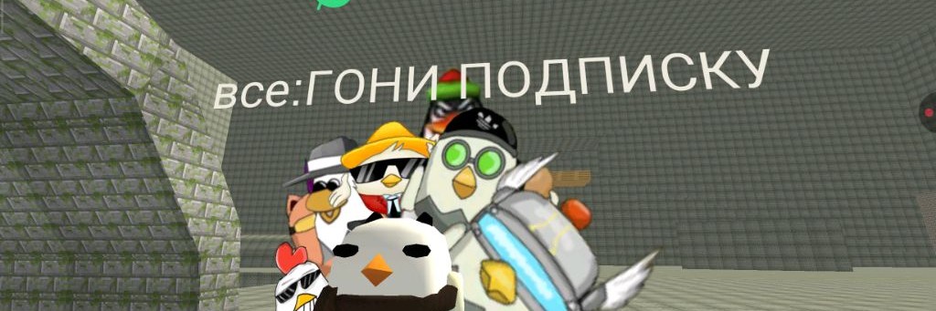 бася 24к