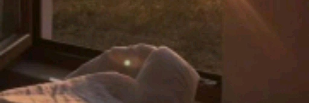 🌊✩𝙷𝚘𝚕𝚒 𝙵𝚊𝚖𝚒𝚕𝚢 𝚅𝚕𝚘𝚐✩🌵