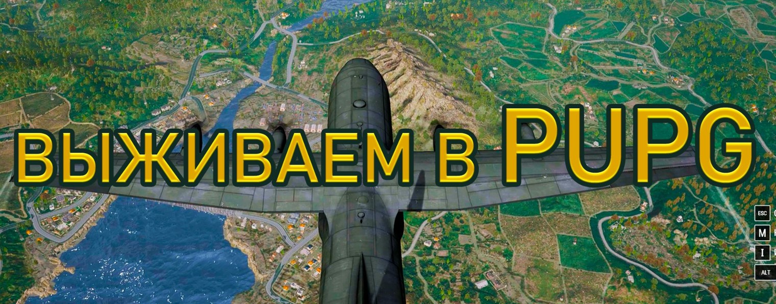 PUPG Выживаем в ПАПГ