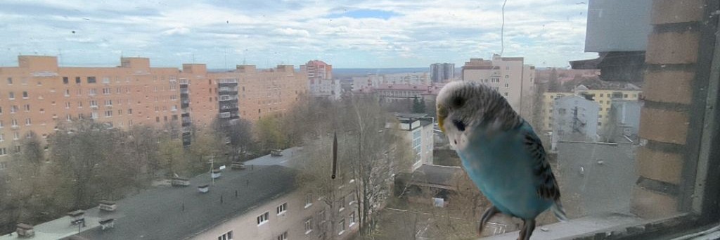 💦КурскиеЛифты💦