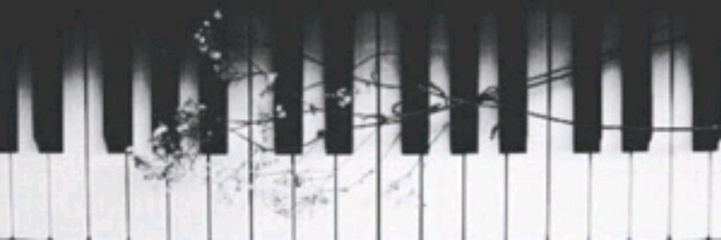 🎵{𝙰𝙱𝚃𝙾𝙿}🎶