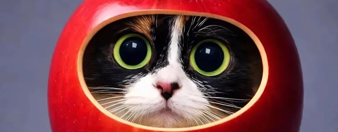 котояблоко20к