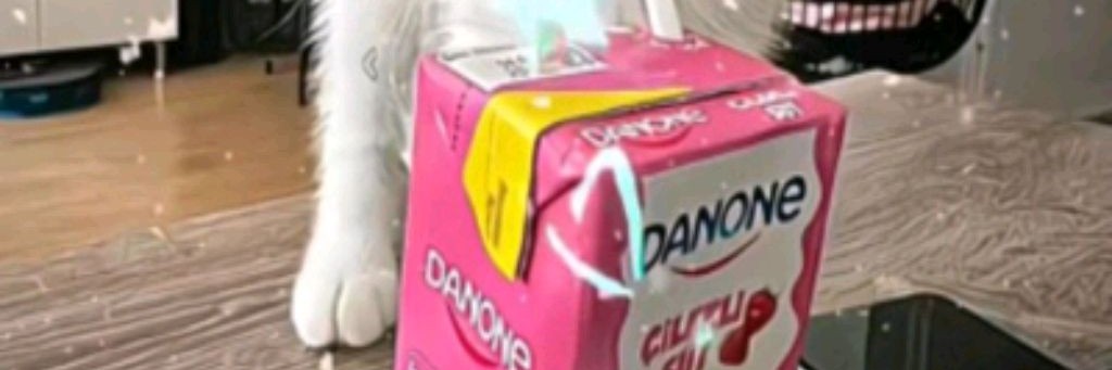 °•—🦇Corne Стейсu🦢﹥ °•