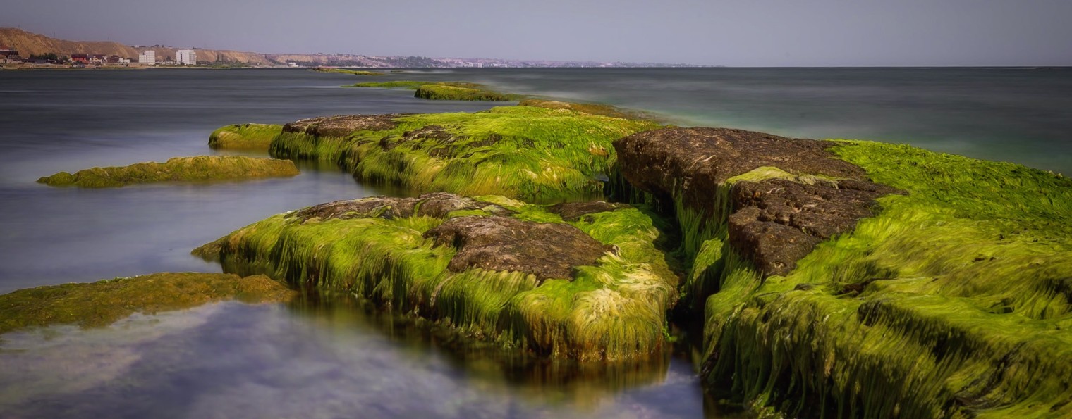 Alexey Koznev Photography